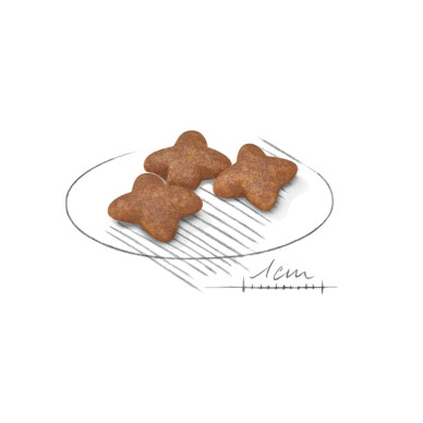 Royal Canin Mini Adult – Hrană Uscată pentru Câini Adulți de Talie Mică – 2 kg